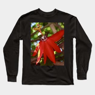 The Passionfruit Flower! Long Sleeve T-Shirt